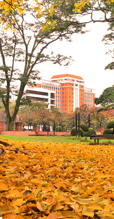 华南师范大学(华南师范大学在哪个城市)
