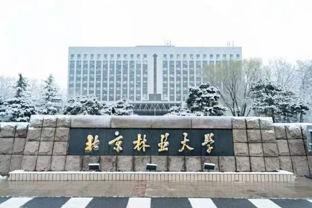 北京林业大学(北京林业大学林学院)