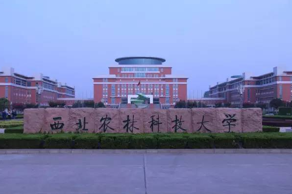 西北农林科技大学毕业证(西北农林科技大学毕业证封面)