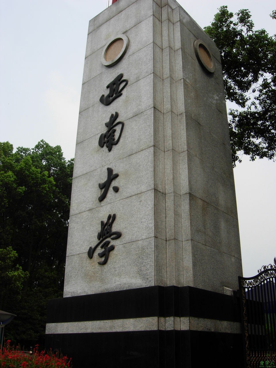 西南大学(西南大学考研专业)
