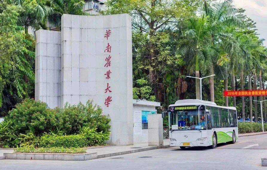 华南农业大学(华南农业大学教务系统)