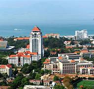 厦门大学(厦门大学嘉庚学院)