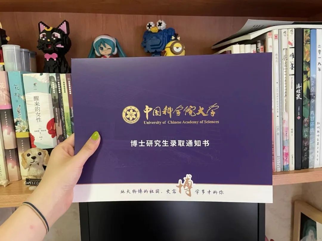 厦门大学毕业证(厦门大学毕业证丢了怎么补)