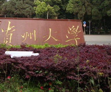 贵州大学(贵州大学电气工程学院)