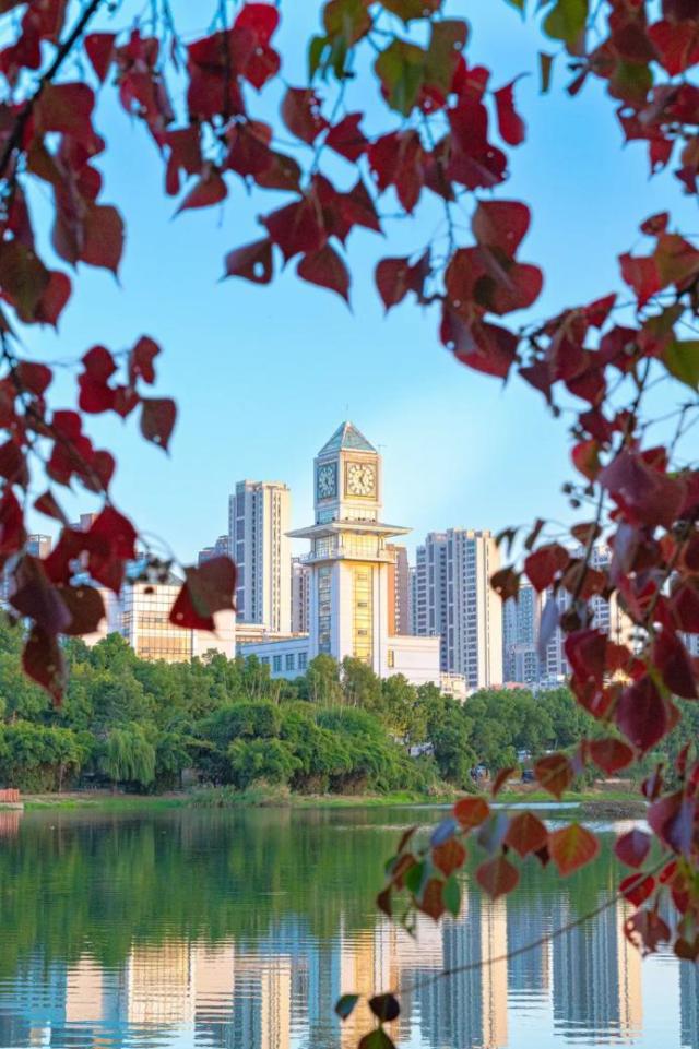 中南财经政法大学排名