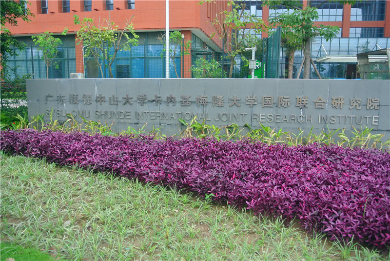 中山大学毕业证书图片