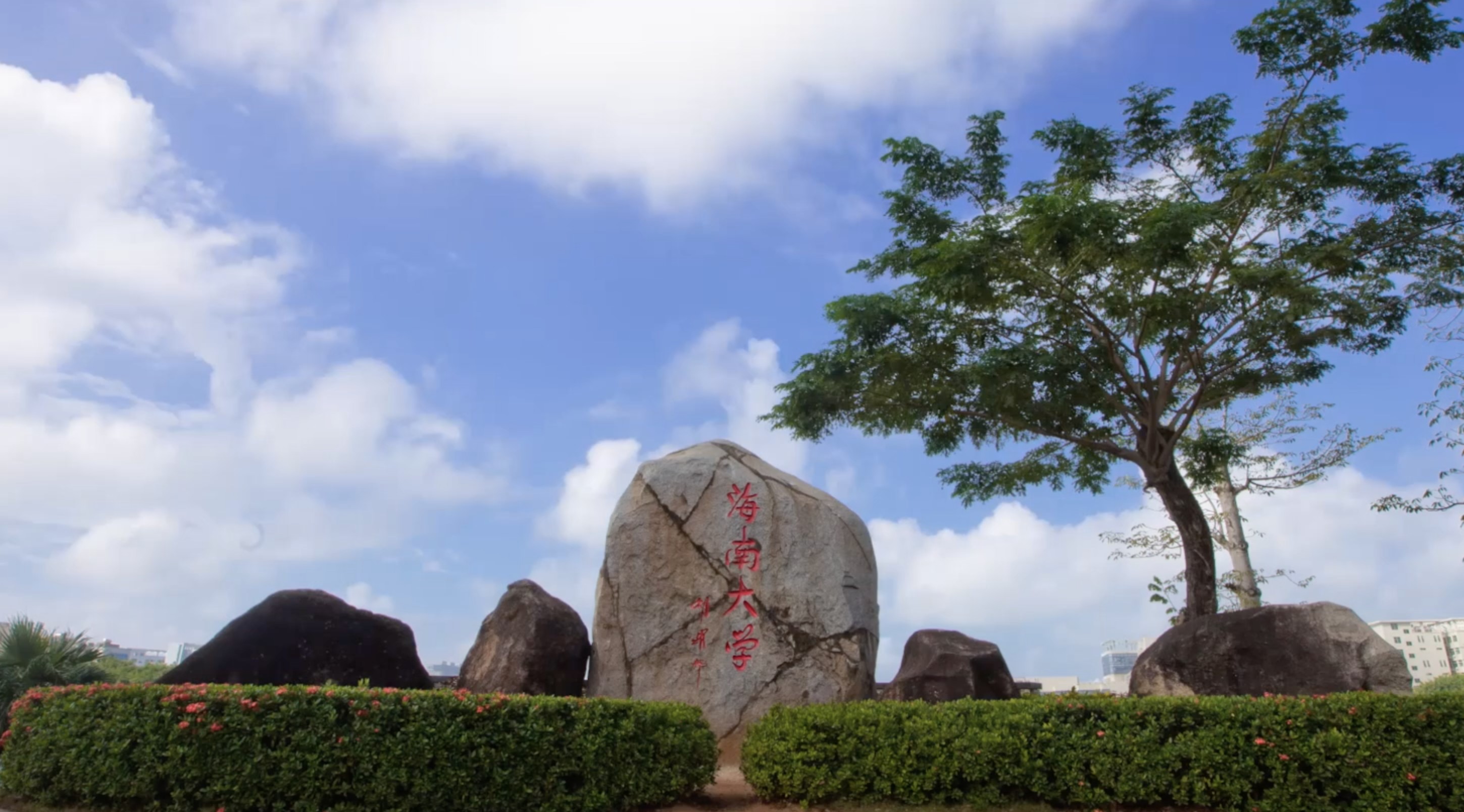 海南大学法学院