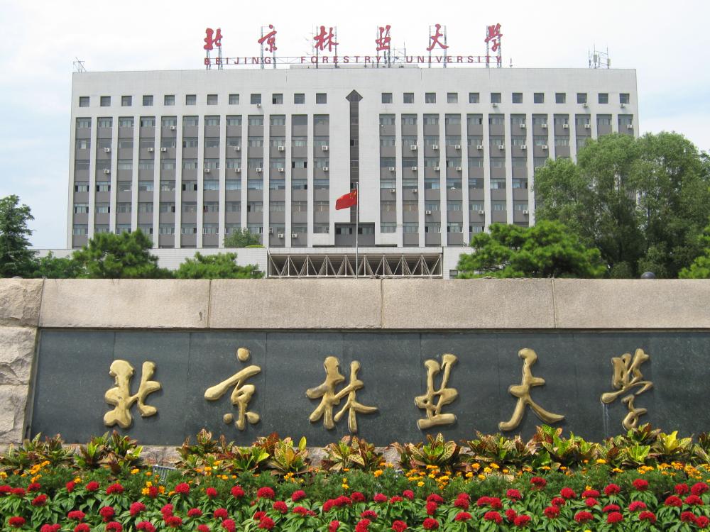 北京林业大学几年制