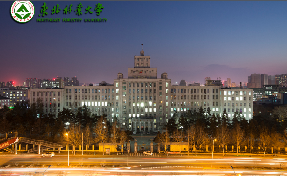 东北林业大学继续教育学院毕业证