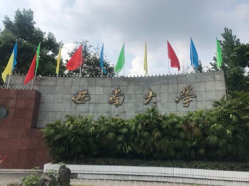 西南大学是985还是211