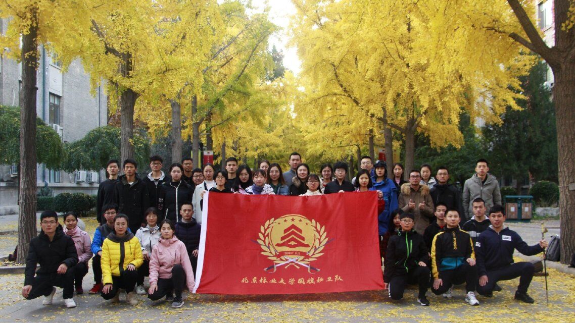 北京林业大学在读本科生