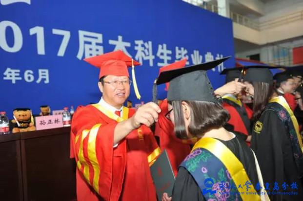 东北大学辽宁分校 学历